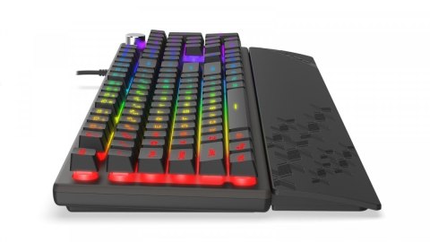 Klawiatura Frost RGB Klawiatura Frost RGB