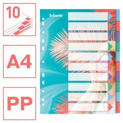 Przekładki Colour`Breeze PP A4 10 przekładek 628500 ESSELTE Przekładki Colour`Breeze PP A4 10 przekładek 628500 ESSELTE