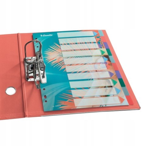 Przekładki Colour`Breeze PP A4 10 przekładek 628500 ESSELTE Przekładki Colour`Breeze PP A4 10 przekładek 628500 ESSELTE