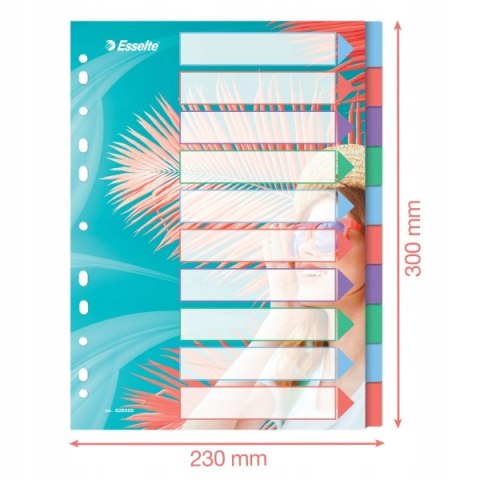 Przekładki Colour`Breeze PP A4 10 przekładek 628500 ESSELTE Przekładki Colour`Breeze PP A4 10 przekładek 628500 ESSELTE