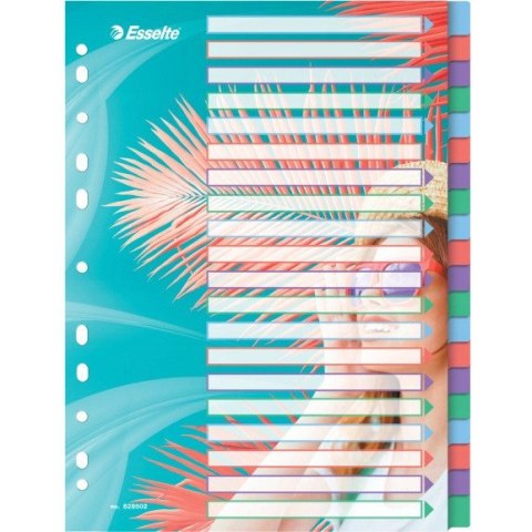 Przekładki Colour`Breeze PP A4 20 przekładek 628502 ESSELTE Przekładki Colour`Breeze PP A4 20 przekładek 628502 ESSELTE