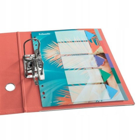 Przekładki Colour`Breeze PP A4 5 przekładek 628498 ESSELTE Przekładki Colour`Breeze PP A4 5 przekładek 628498 ESSELTE