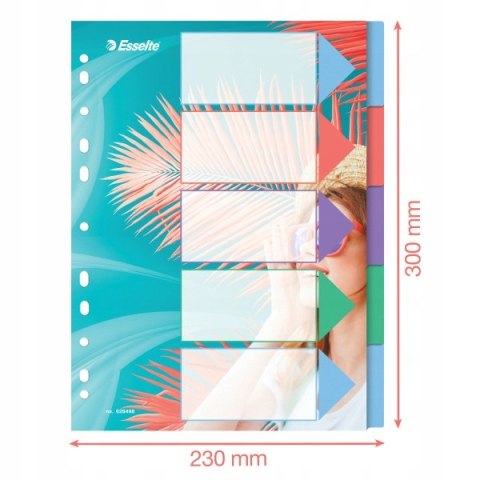 Przekładki Colour`Breeze PP A4 5 przekładek 628498 ESSELTE Przekładki Colour`Breeze PP A4 5 przekładek 628498 ESSELTE