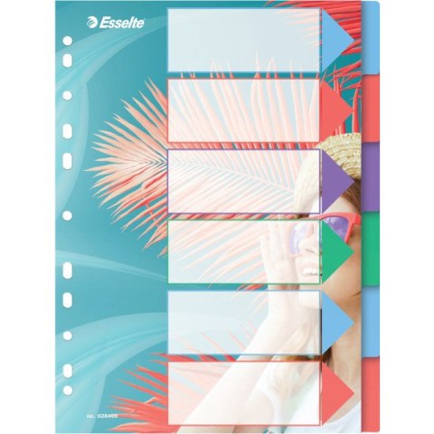 Przekładki Colour`Breeze PP A4 6 przekładek 628499 ESSELTE Przekładki Colour`Breeze PP A4 6 przekładek 628499 ESSELTE