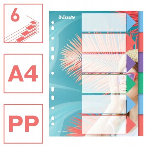Przekładki Colour`Breeze PP A4 6 przekładek 628499 ESSELTE Przekładki Colour`Breeze PP A4 6 przekładek 628499 ESSELTE