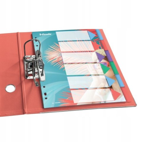 Przekładki Colour`Breeze PP A4 6 przekładek 628499 ESSELTE Przekładki Colour`Breeze PP A4 6 przekładek 628499 ESSELTE