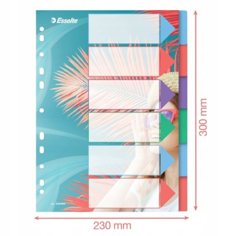 Przekładki Colour`Breeze PP A4 6 przekładek 628499 ESSELTE Przekładki Colour`Breeze PP A4 6 przekładek 628499 ESSELTE