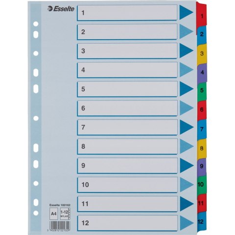 Przekładki kartonowe MYLAR A4 1-12 białe 100162 ESSELTE Przekładki kartonowe MYLAR A4 1-12 białe 100162 ESSELTE