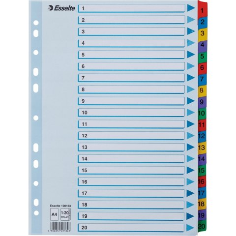 Przekładki kartonowe MYLAR A4 1-20 białe 100163 ESSELTE Przekładki kartonowe MYLAR A4 1-20 białe 100163 ESSELTE
