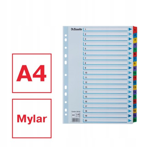 Przekładki kartonowe MYLAR A4 1-20 białe 100163 ESSELTE Przekładki kartonowe MYLAR A4 1-20 białe 100163 ESSELTE