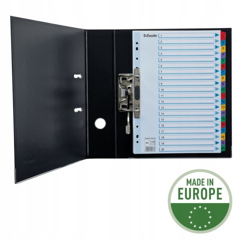 Przekładki kartonowe MYLAR A4 1-20 białe 100163 ESSELTE Przekładki kartonowe MYLAR A4 1-20 białe 100163 ESSELTE
