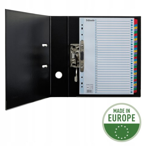 Przekładki kartonowe MYLAR A4 1-31 białe 100164 ESSELTE Przekładki kartonowe MYLAR A4 1-31 białe 100164 ESSELTE