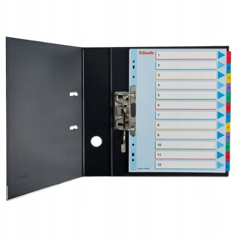 Przekładki kartonowe MYLAR A4 MAXI 1-10 ESSELTE 100208 Przekładki kartonowe MYLAR A4 MAXI 1-10 ESSELTE 100208