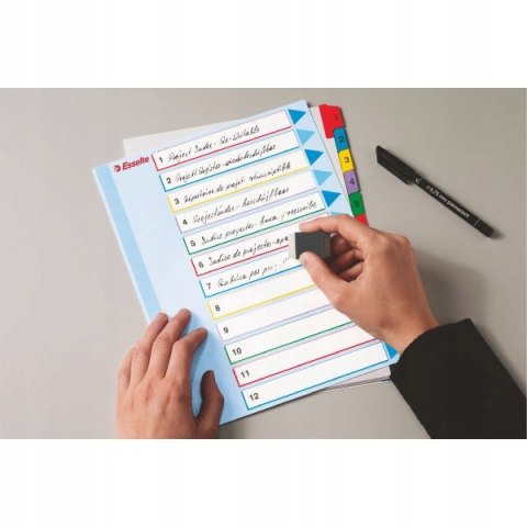Przekładki kartonowe MYLAR A4 MAXI 1-5 ESSELTE 100207 Przekładki kartonowe MYLAR A4 MAXI 1-5 ESSELTE 100207