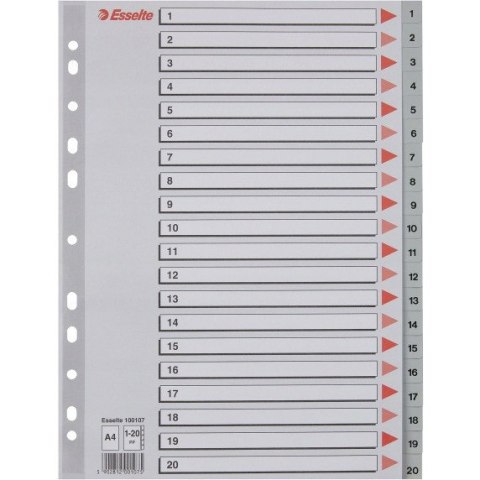 Przekładki plastikowe numeryczne A4 1-20 szare ESSELTE 100107 Przekładki plastikowe numeryczne A4 1-20 szare ESSELTE 100107
