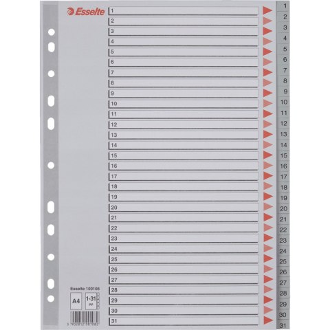 Przekładki plastikowe szare PP A4 1-31 numeryczne 100108 ESSELTE Przekładki plastikowe szare PP A4 1-31 numeryczne 100108 ESSELTE