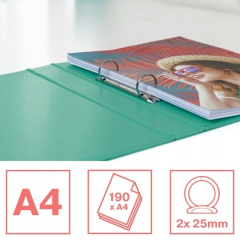 Segregator A4/35/2 ringi COLOUR`ICE zielony 626498 ESSELTE Segregator A4/35/2 ringi COLOUR`ICE zielony 626498 ESSELTE