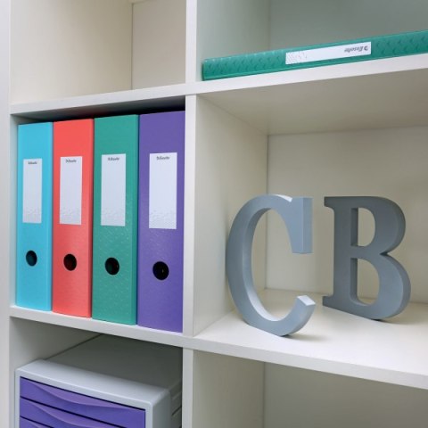 Segregator ESSELTE Colour`Breeze z polyfoamu A4 82mm koralowy 628427 Segregator ESSELTE Colour`Breeze z polyfoamu A4 82mm koralowy 628427