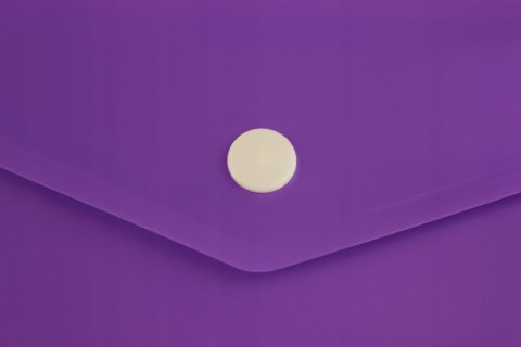 Teczka kopertowa na dokumenty DL satyna PP 12sztuk mix kolorów TKS-03-00 BIURFOL Teczka kopertowa na dokumenty DL satyna PP 12sztuk mix kolorów TKS-03-00 BIURFOL