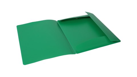 Teczka z gumką szeroka na dokumenty A4 PP s.pomarańczy zielona TGS-01-02 BIURFOL Teczka z gumką szeroka na dokumenty A4 PP s.pomarańczy zielona TGS-01-02 BIURFOL