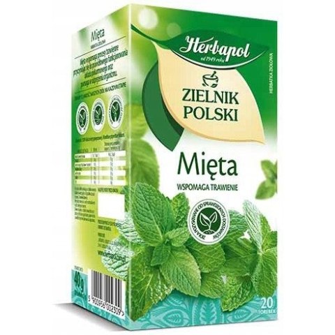Herbata HERBAPOL ZIELNIK POLSKI mięta (20 torebek) Herbata HERBAPOL ZIELNIK POLSKI mięta (20 torebek)