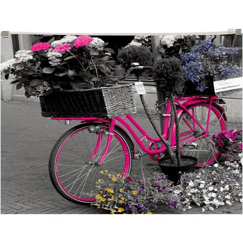 Koperta poszerzana z suwakiem A4 PP nadruk Bike 0410-0063-44 Panta Plast Koperta poszerzana z suwakiem A4 PP nadruk Bike 0410-0063-44 Panta Plast