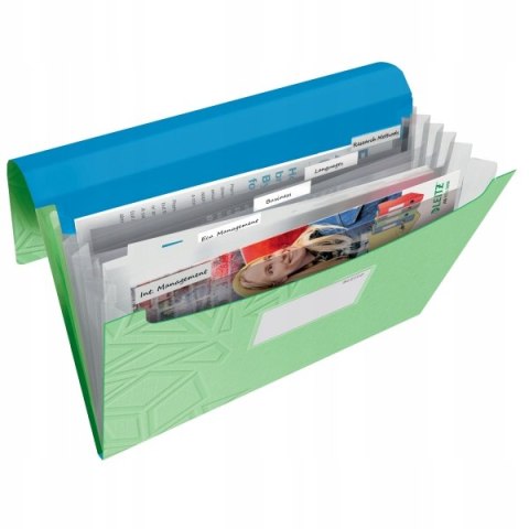 Teczka z przegródkami Leitz Urban Chic, PP, A4, mieści 250 kartek, zielona 39970050 Teczka z przegródkami Leitz Urban Chic, PP, A4, mieści 250 kartek, zielona 39970050
