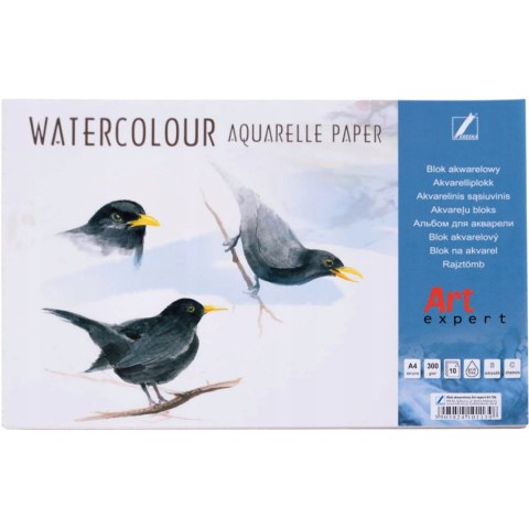 Blok akwarelowy A4 10k 300g Art Expert KRESKA Blok akwarelowy A4 10k 300g Art Expert KRESKA