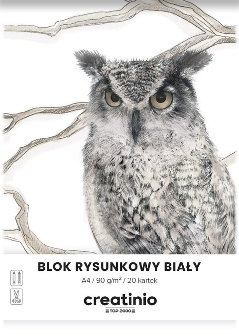 Blok rysunkowy szkolny A4 biały 20 kartek 90g 400176663 TOP 2000 Blok rysunkowy szkolny A4 biały 20 kartek 90g 400176663 TOP 2000