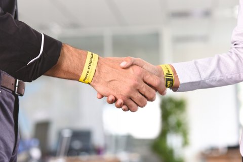 Opaski identyfikacyjne na nadgarstek 265x18mm A4 (10) L4001-10 żółte do nadruku AVERY ZWECKFORM