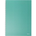 Kołonotatnik Colour`Breeze A4 w kratkę zielony 628477 ESSELTE