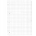 Notatnik Flex A4 80 kartek w kratkę i linie Notes Ladylike Butterflies 50044337 HERLITZ