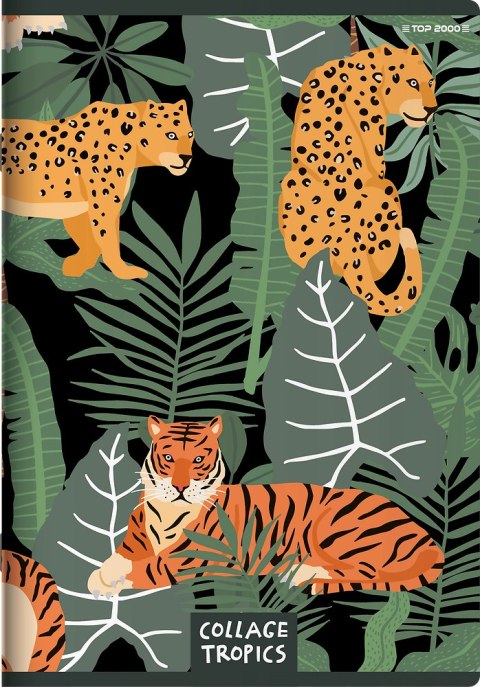 Zeszyt A5 60k linia margines COLLAGE TROPICS 400157928 TOP 2000 Zeszyt A5 60k linia margines COLLAGE TROPICS 400157928 TOP 2000