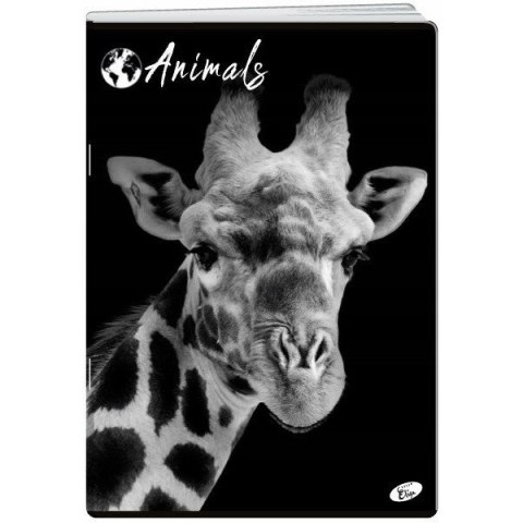 Zeszyt A4 60k linia okładka miękka ANIMALS EL-M12-060-LA4 ELISA Zeszyt A4 60k linia okładka miękka ANIMALS EL-M12-060-LA4 ELISA