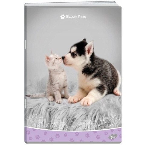 Zeszyt A5 32k kratka okładka miękka SWEET PETS EL-M13-032-KA5 ELISA Zeszyt A5 32k kratka okładka miękka SWEET PETS EL-M13-032-KA5 ELISA