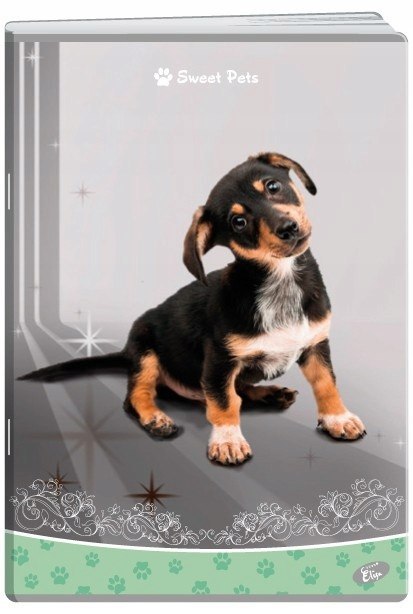Zeszyt A5 32k kratka okładka miękka SWEET PETS EL-M13-032-KA5 ELISA Zeszyt A5 32k kratka okładka miękka SWEET PETS EL-M13-032-KA5 ELISA