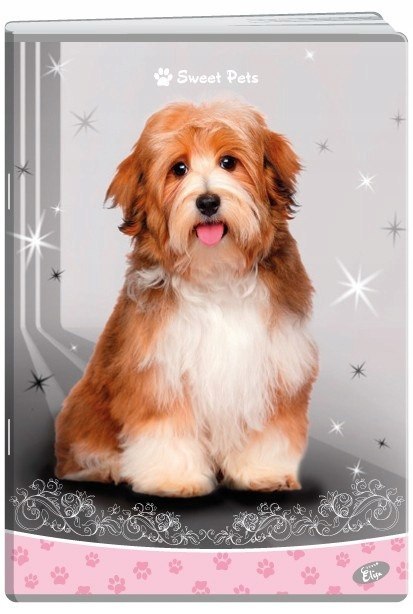 Zeszyt A5 32k kratka okładka miękka SWEET PETS EL-M13-032-KA5 ELISA Zeszyt A5 32k kratka okładka miękka SWEET PETS EL-M13-032-KA5 ELISA