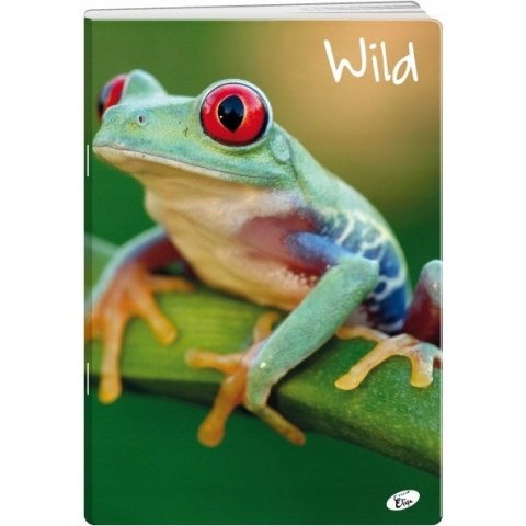 Zeszyt A5 32k linia okładka miękka WILD EL-M6-032-LA5 ELISA Zeszyt A5 32k linia okładka miękka WILD EL-M6-032-LA5 ELISA