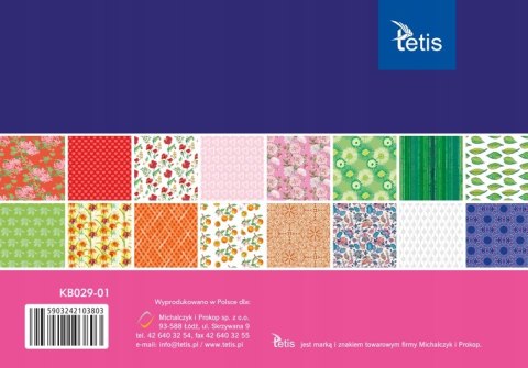 Zeszyt papierów kreatywnych A5 16k 100g KB029-01 TETIS Zeszyt papierów kreatywnych A5 16k 100g KB029-01 TETIS