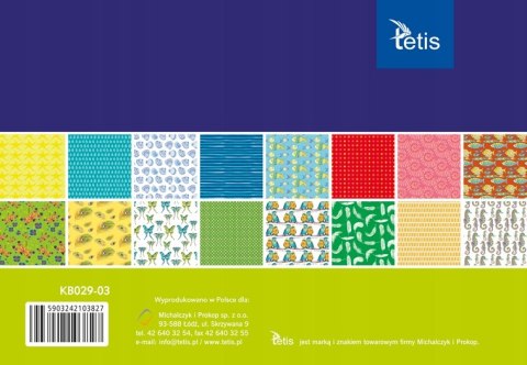 Zeszyt papierów kreatywnych A5 16k 100g KB029-03 TETIS Zeszyt papierów kreatywnych A5 16k 100g KB029-03 TETIS