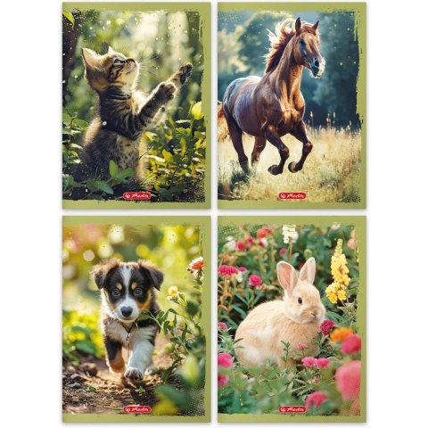 Zeszyt szkolny A4 32 kartki w kratkę 70g ANIMALS 95830089 HERLITZ