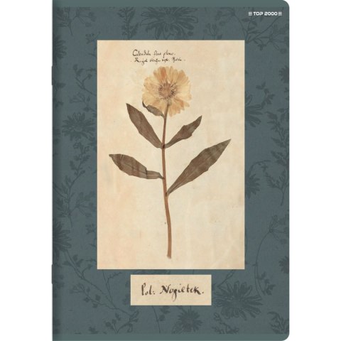 Zeszyt A5 32k kratka margines 70g FLOWERS 400169417 TOP 2000 Zeszyt A5 32k kratka margines 70g FLOWERS 400169417 TOP 2000