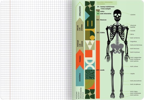 Zeszyt A5 60k kratka 70g ze ściągami BIOLOGIA 400169460 TOP 2000 Zeszyt A5 60k kratka 70g ze ściągami BIOLOGIA 400169460 TOP 2000