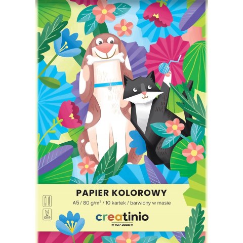 Zeszyt papierów kolorowych A5 10k 80g CREATINIO 400176683 TOP 2000 Zeszyt papierów kolorowych A5 10k 80g CREATINIO 400176683 TOP 2000