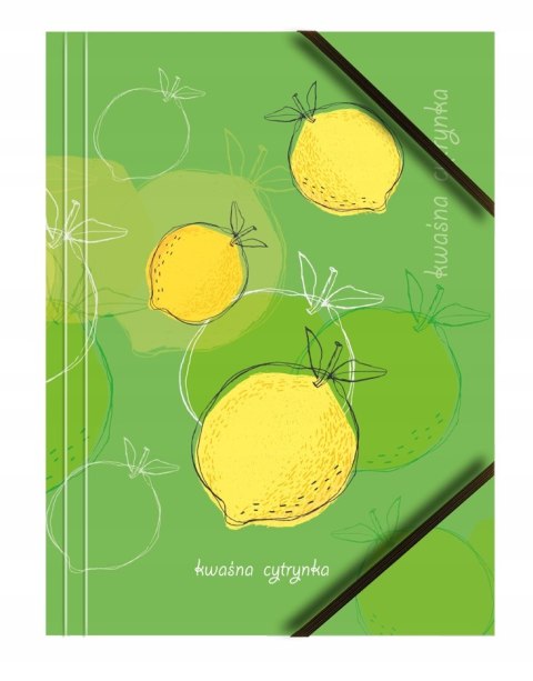 Teczka kartonowa A4 z gumką na rogach 350g. OWOCE (6sztuk) BT601-M1 TETIS Teczka kartonowa A4 z gumką na rogach 350g. OWOCE (6sztuk) BT601-M1 TETIS
