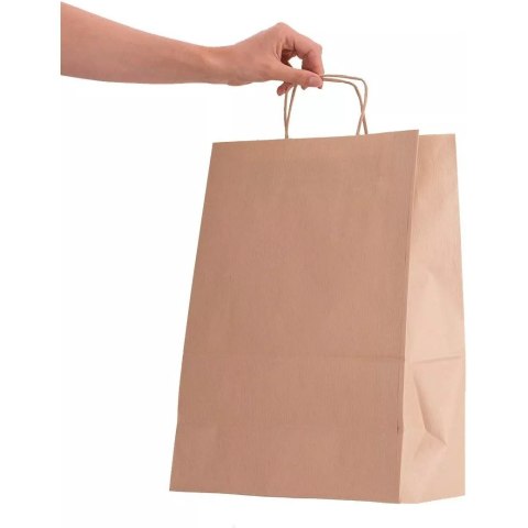Torba ekologiczna ECOBAG 305x170x425mm brązowa Torba ekologiczna ECOBAG 305x170x425mm brązowa