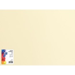 Karton kolorowy CREATINIO A1 160G (25 ark.) 12 kremowy 400149521 TOP 2000