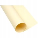 Blok karton kolorowy CREATINIO A1 160g 25 arkuszy nr.12 kremowy 400149521 TOP 2000