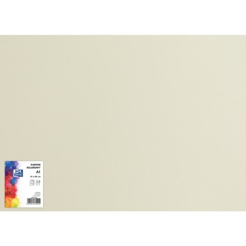 Blok karton kolorowy CREATINIO A1 160g 25 arkuszy nr.93 jasny szary 400149522 TOP 2000