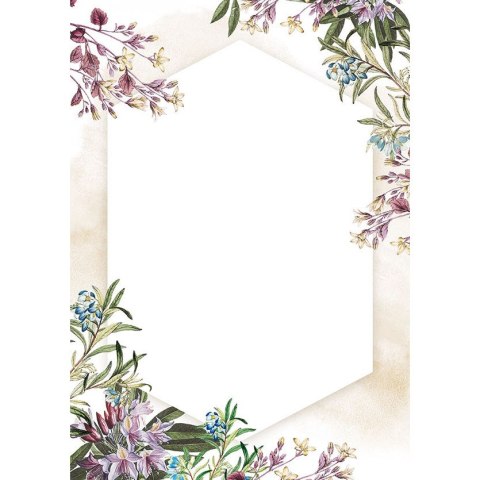 Dyplom A4 UMBRIA 170g. (25ark.) 217517 Galeria Papieru Dyplom A4 UMBRIA 170g. (25ark.) 217517 Galeria Papieru